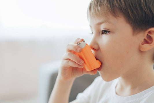 Why Air Filters Are a Must-Have for Allergy and Asthma Sufferers
